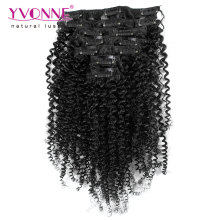 Brazilian Kinky Curly Virgin Hair Clip in Extensions